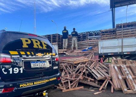 Polícia Rodoviária Federal apreende uma tonelada de maconha durante fiscalização