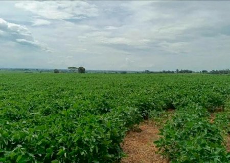 Brasil se aproxima dos EUA e pode assumir liderança mundial nas exportações agrícolas em 2026