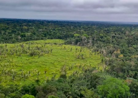 Imazon aponta desmatamento zero em 60% de terras indígenas na Amazônia