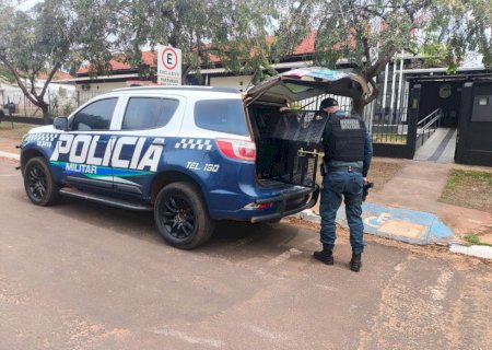 Ivinhema: Polícia Militar cumpriu dois mandados de prisão em menos de duas horas