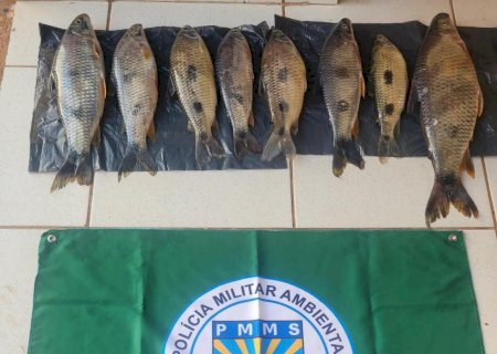 Pescador é flagrado com cota excedente de pesca, e é autuado em mais de mil reais por captura de 8 exemplares de piapara, barco, motor e traía de pesca foram apreendidos